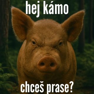 Vepřové tyčinky s česnekem se pěkně rozjíždějí! Ale víte co? Občas se mi nepodaří tyčinku správně uříznout. A v hospodě...