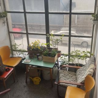 V práci se člověk musí cítit dobře, no ne? Říkal jsem si, že si dám na okno jednu kytku, možná rajče… maximálně jednu...